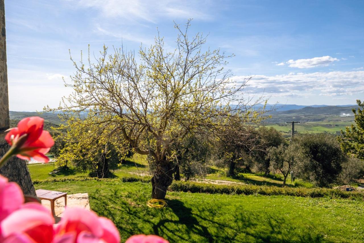 Podere Montale Il Borgo Seggiano ภายนอก รูปภาพ